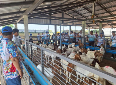 ศึกษาดูงานการดำเนินธุรกิจของสหกรณ์การเกษตรด่านขุนทด จำกัด ... พารามิเตอร์รูปภาพ 15
